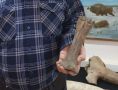 Житель Глазова нашел на своём огороде кость древнего зубра