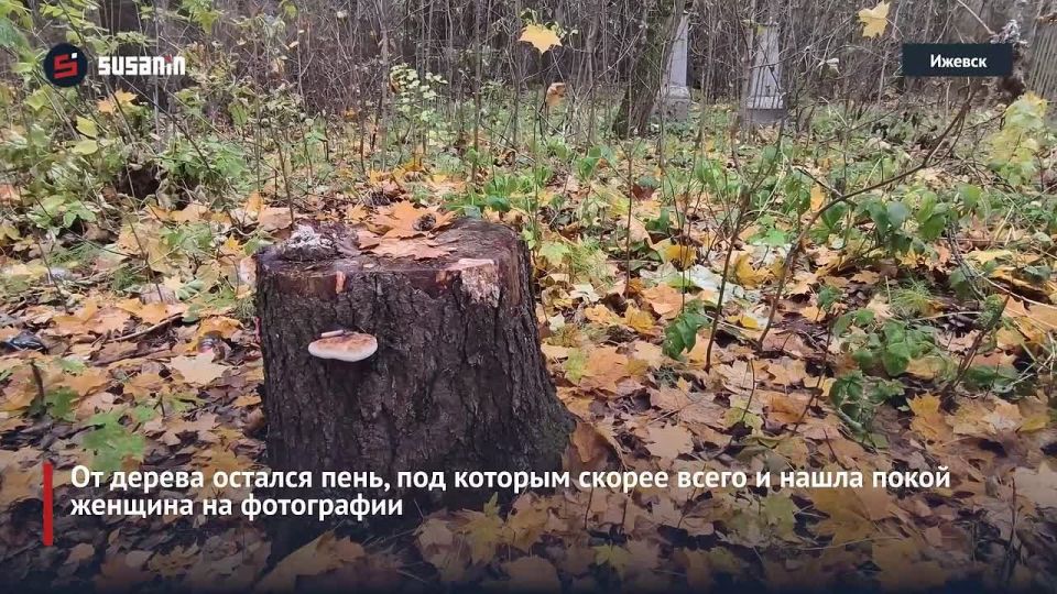 Природа иногда создаёт невероятные вещи