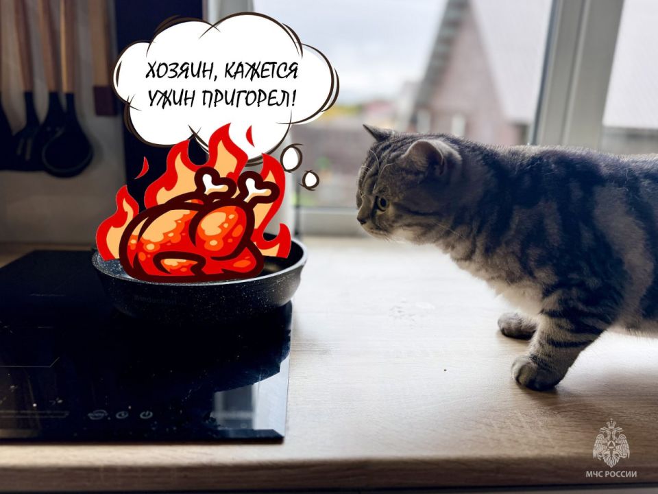 Кото-оповещение сработало!