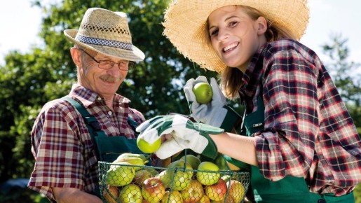 Не только шарлотка и компот: простые идеи, куда деть яблоки в конце осеннего сезона