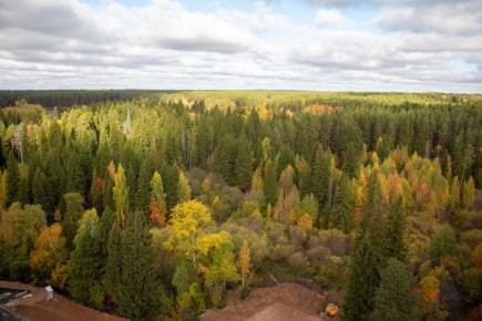 С начала 2025 года инспекторы министерства природы Удмуртии провели более трёх тыс