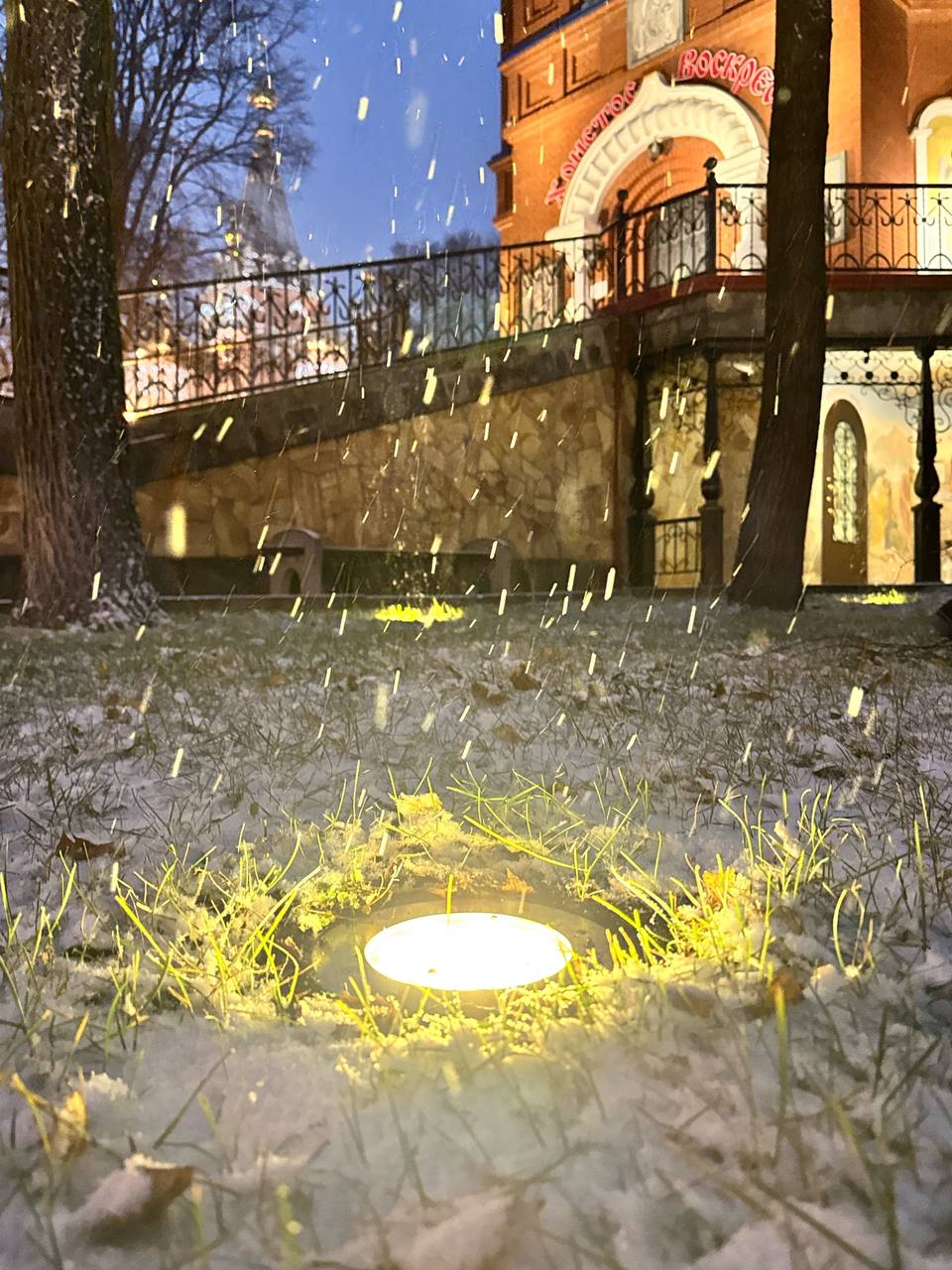 Ночной ноябрьский снег в объективе Даниила Моисеева Ночной ноябрьский снег в объективе Даниила Моисеева