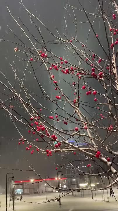 Главное — не забывайте шапку