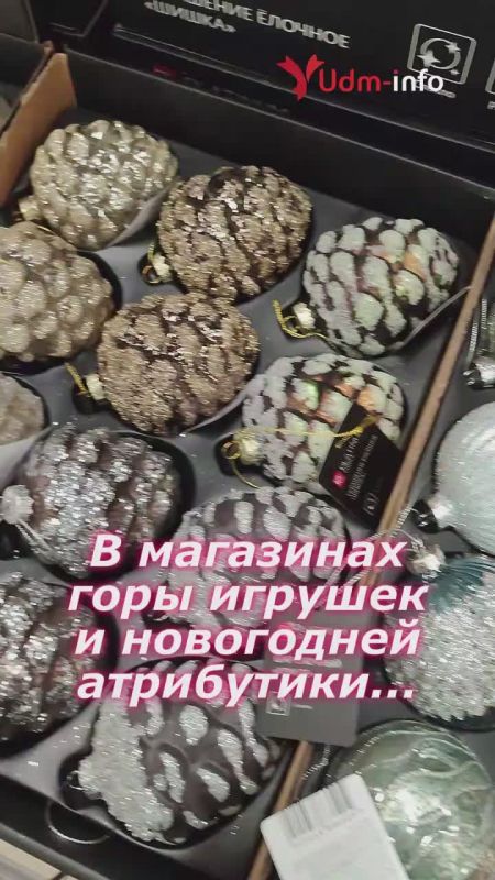 Главную ёлку Ижевска начали устанавливать на Центральной площади