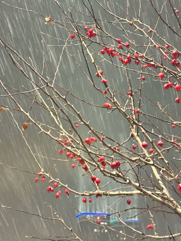 Ночной ноябрьский снег в объективе Даниила Моисеева Ночной ноябрьский снег в объективе Даниила Моисеева