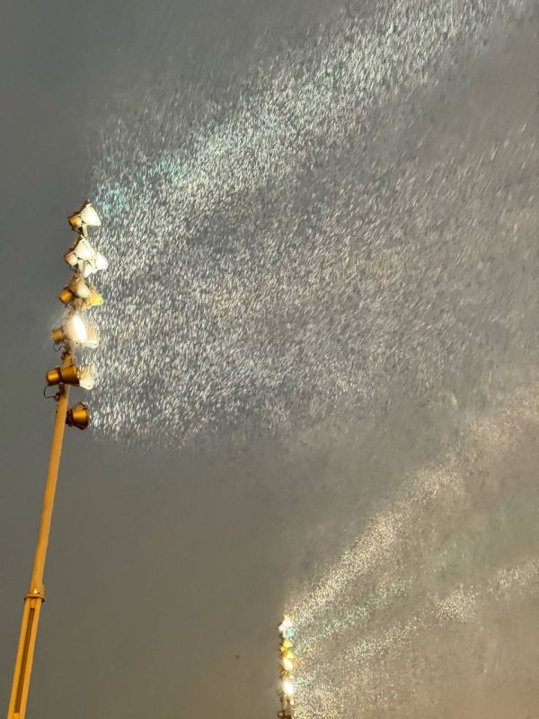 Ночной ноябрьский снег в объективе Даниила Моисеева Ночной ноябрьский снег в объективе Даниила Моисеева