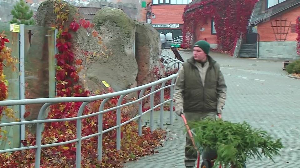 Животные готовятся к зимнему сезону