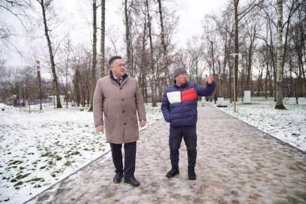 Как продвигается благоустройство Березовой рощи?
