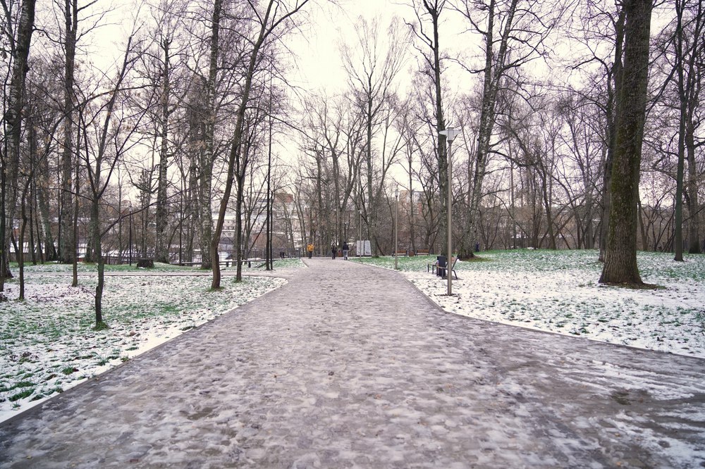 Как продвигается благоустройство Березовой рощи? Как продвигается благоустройство Березовой рощи?