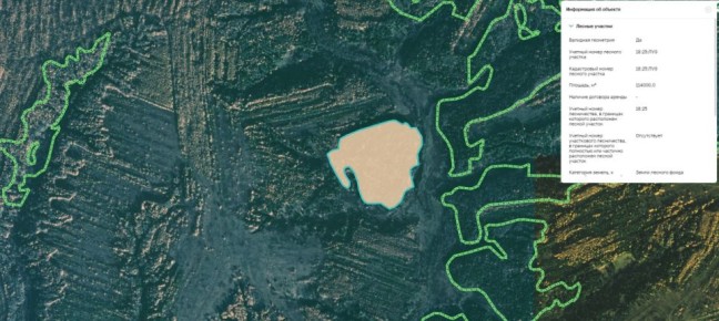 Благодаря вмешательству природоохранной прокуратуры в собственность государства возвращены земли лесного фонда площадью более 11 га