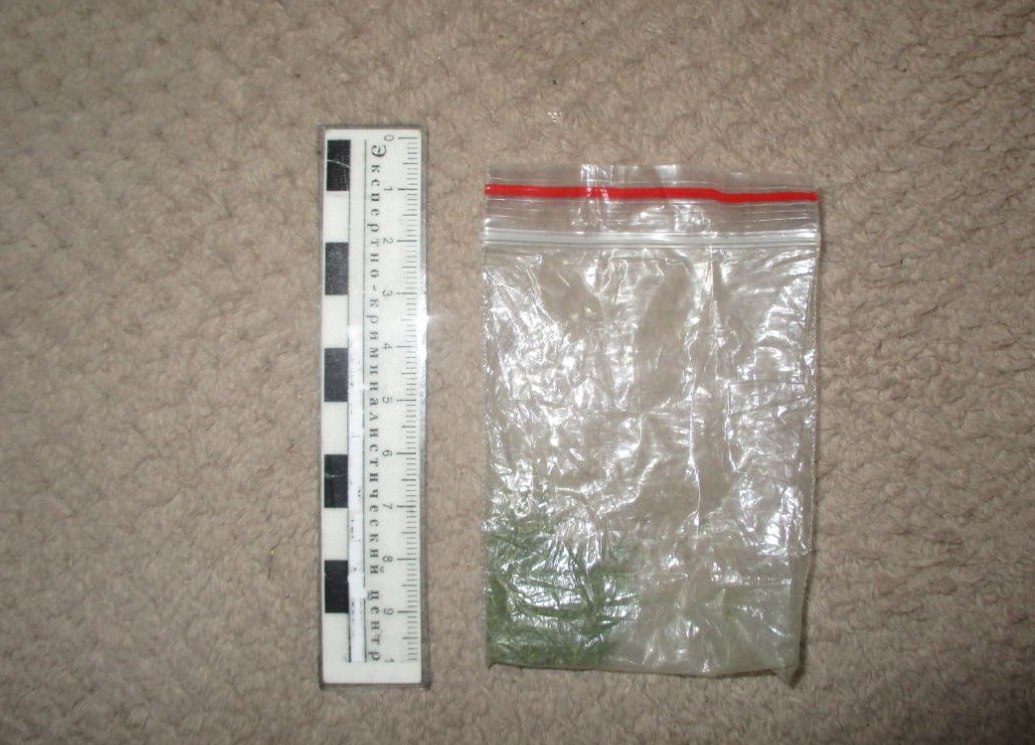 В Глазове сотрудники полиции ликвидировали наркопритон В Глазове сотрудники полиции ликвидировали наркопритон