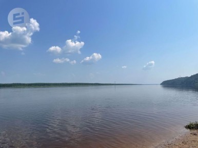 В Удмуртии могут ограничить вылов стерляди