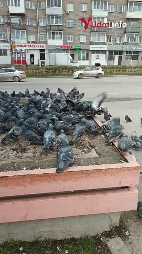 Интересные факты и важные новости прошедшей недели за 1 минуту