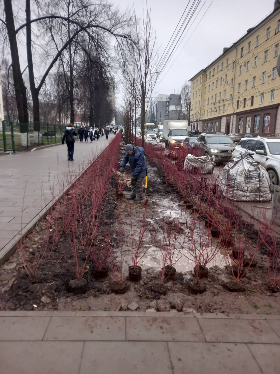 Фотографии с улицы Советской в Ижевске, где «ударными темпами» продолжается обещанное городскими властями озеленение, прислали подписчики Udm-Info Фотографии с улицы Советской в Ижевске, где «ударными темпами» продолжается обещанное городскими властями озеленение, прислали подписчики Udm-Info