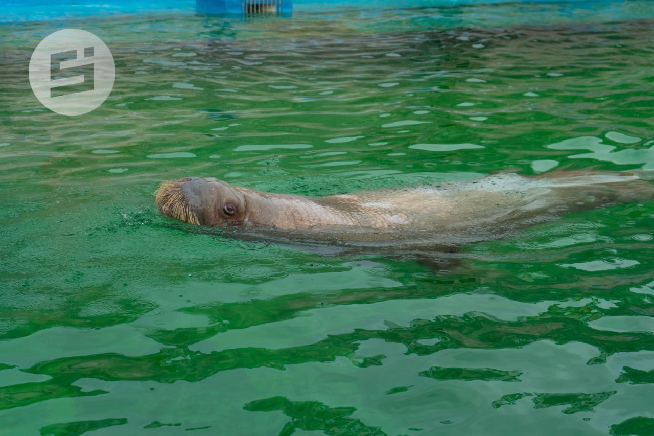 Так и не скажешь, что 20-е ноября на дворе Так и не скажешь, что 20-е ноября на дворе