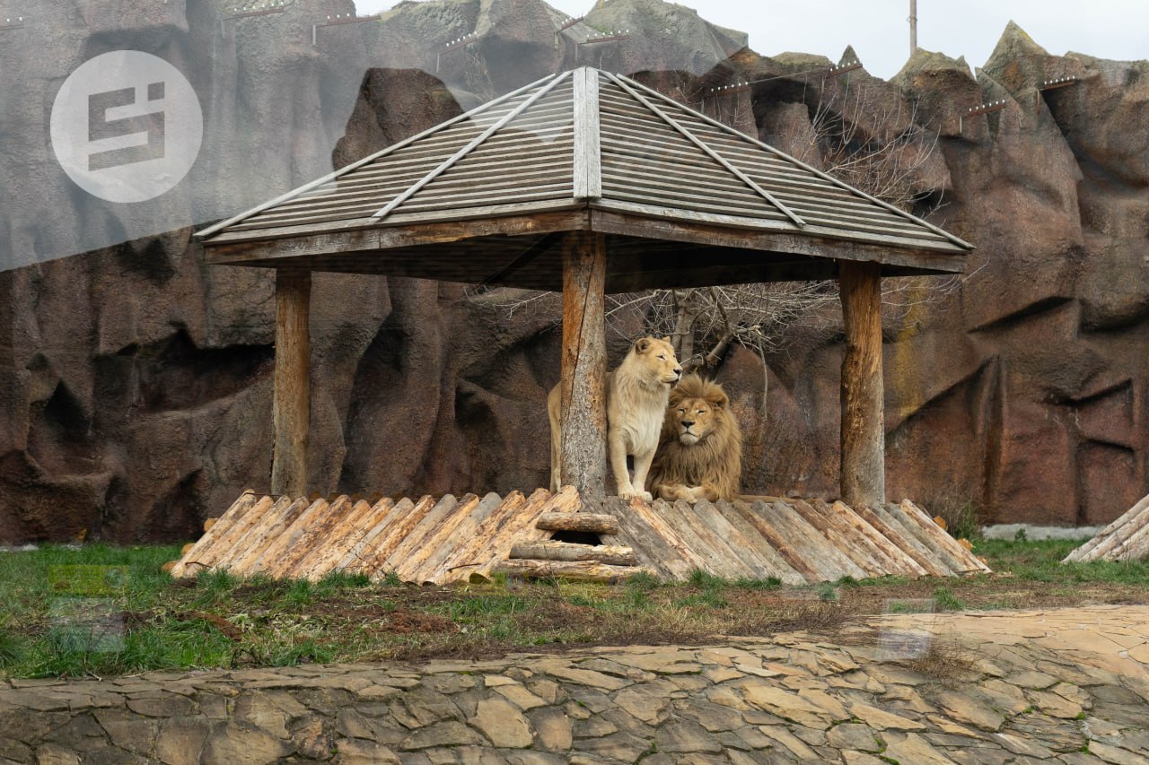 Так и не скажешь, что 20-е ноября на дворе