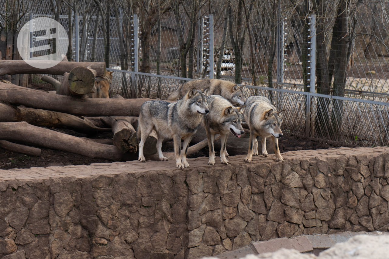 Так и не скажешь, что 20-е ноября на дворе Так и не скажешь, что 20-е ноября на дворе