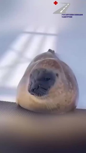     ,   open your eyes     ,        