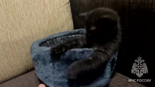 Осторожно! Невероятная милота!