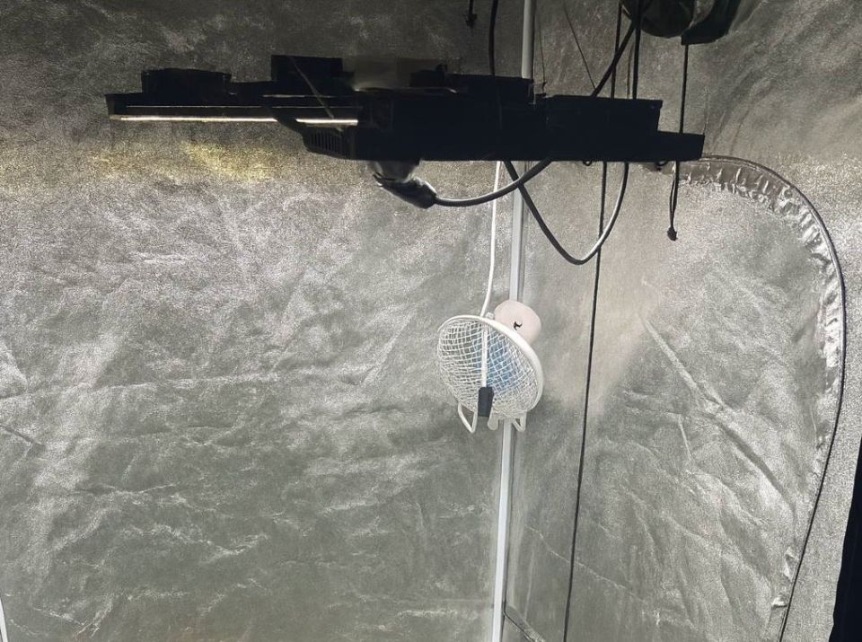 Сотрудниками МО МВД России «Сарапульский» задержан продавец супермаркета, выращивавший дома коноплю