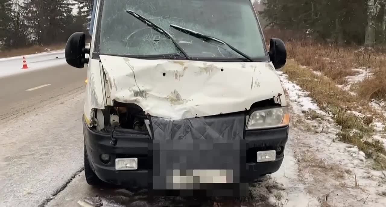 В дорожной аварии на территории Балезинского района погибла женщина -пешеход