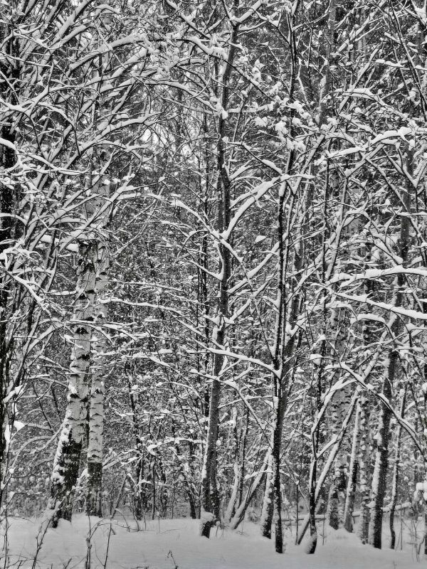 � ������ ����������� ���� ����, ������!