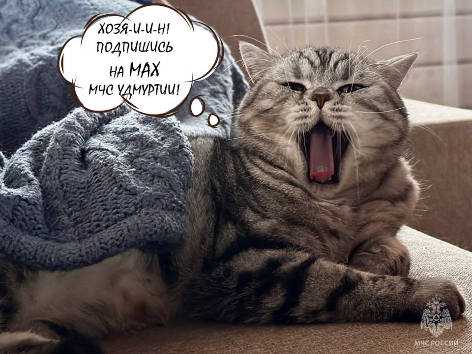 ��������, ���� �������!. ������ ���� ������, ��� ������ � ��������� ��������������, ������� ��� ������� ���? ��������� �� ��� ����� ����������� ����� � ����! ������ �������� ������ ���������, ���������� � ���������� �� ���...