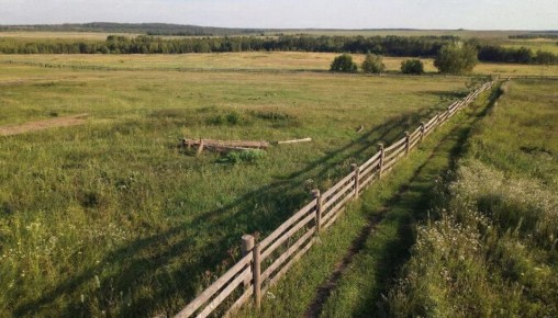 Ветераны-орденоносцы СВО могут получить земельный участок в Удмуртии