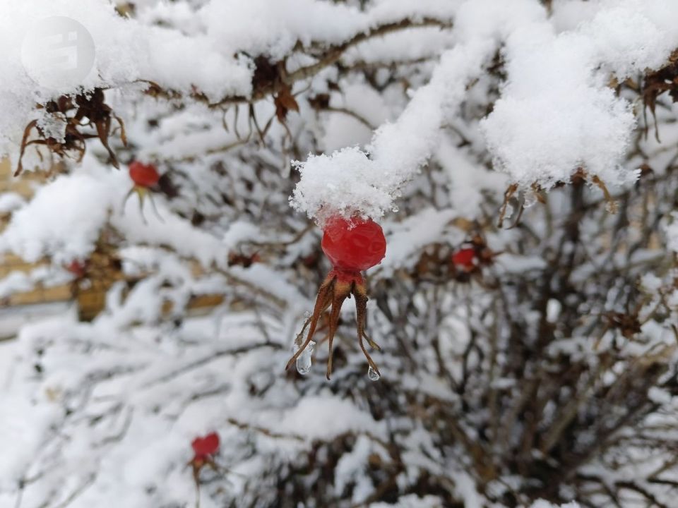 Резкое похолодание ожидается со следующей недели в Удмуртии