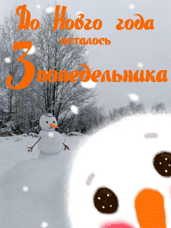 8 декабря в Удмуртии — это первый действительно снежный понедельник текущей зимой