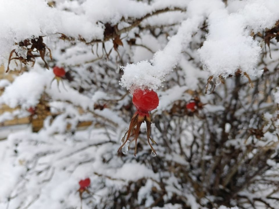 В Удмуртии 9 декабря температура воздуха окажется в пределах -12...-7 градусов по Цельсию, сообщает МЧС Удмуртии