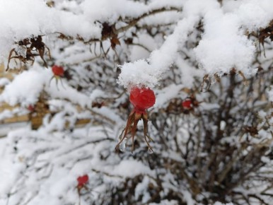   9       -12...-7   ,   