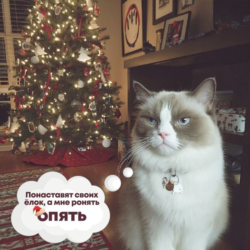 ������ ������ �����, �� �� �������