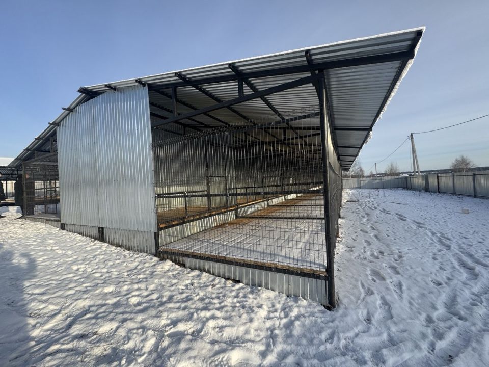 Двадцать вольеров для бездомных собак построили в Устиновском районе Ижевска за счет регионального гранта