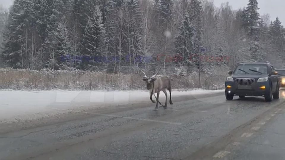 �� ������ ��������� � �������� �������� �����