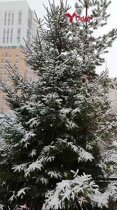 ������ �����. ���������� ����� � ������ ������� ��������� ������� ������ �� ���� ������