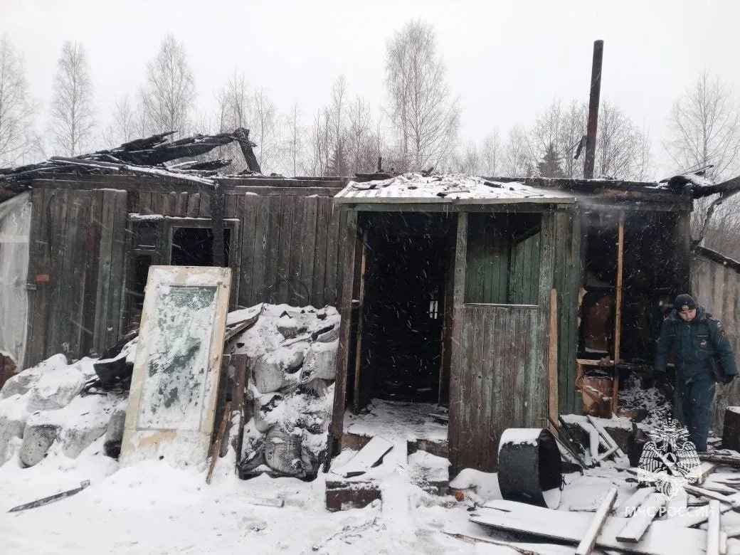 2000 цыплят погибли на пожаре в поселке Игра в Удмуртии 2000 цыплят погибли на пожаре в поселке Игра в Удмуртии