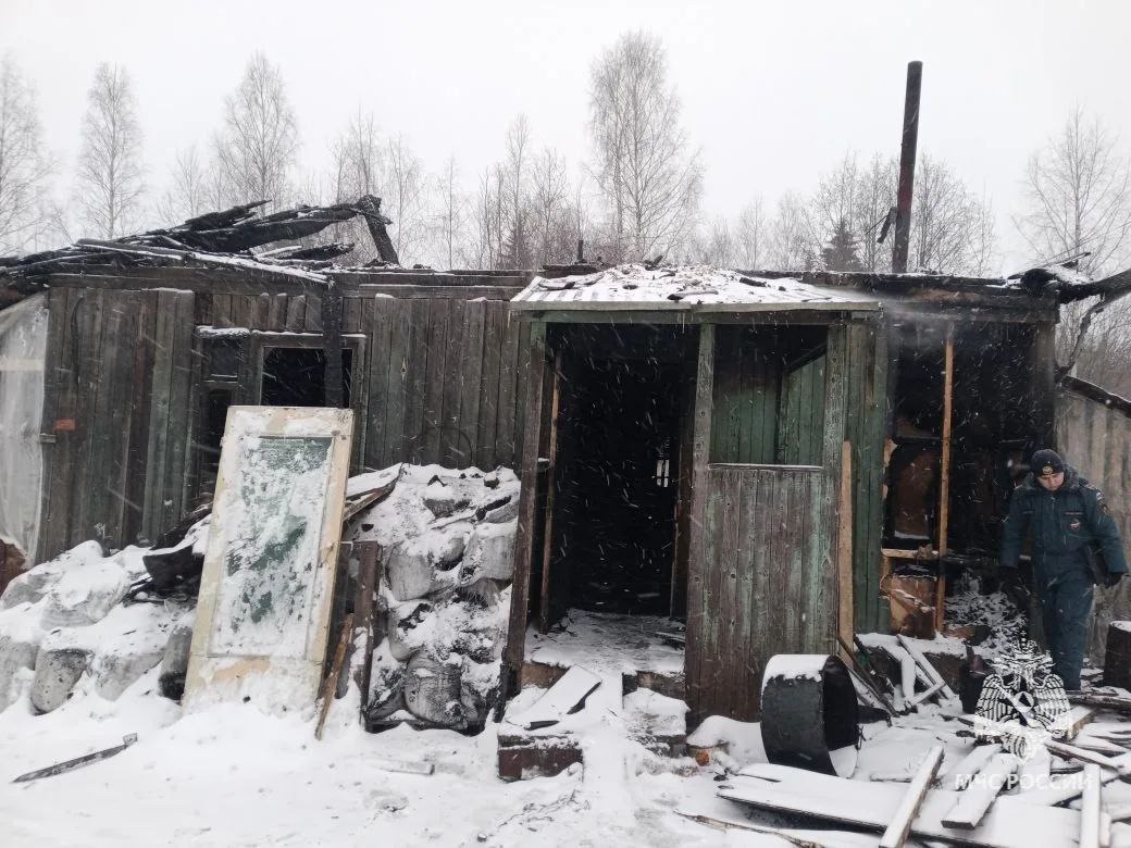 Около двух тысяч цыплят сгорели на пожаре в Удмуртии