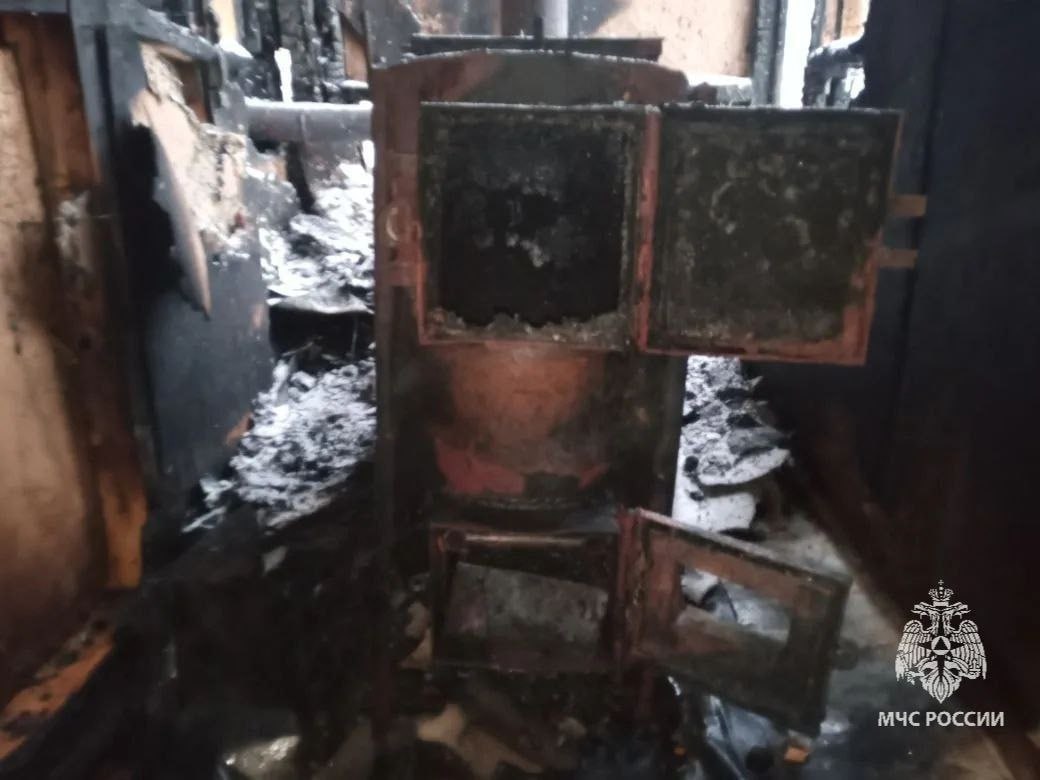 Около двух тысяч цыплят сгорели на пожаре в Удмуртии Около двух тысяч цыплят сгорели на пожаре в Удмуртии