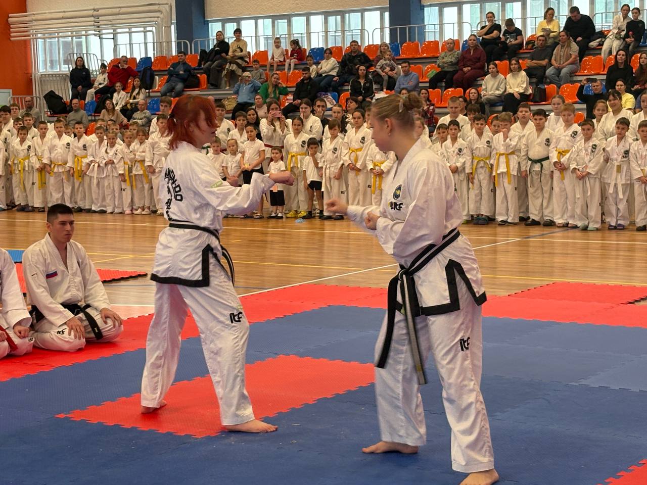 В Ижевске состоялся детский турнир по тхэквондо МФТ на Кубок руководителя следственного управления В Ижевске состоялся детский турнир по тхэквондо МФТ на Кубок руководителя следственного управления