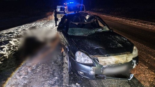 Водитель «Лады» столкнулся с лосем на дороге в Игринском районе