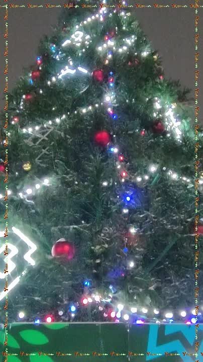 Главную ёлку Удмуртии откроют в Ижевске 20 декабря