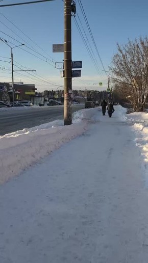 На улицах Ижевска звучит «пение птиц»