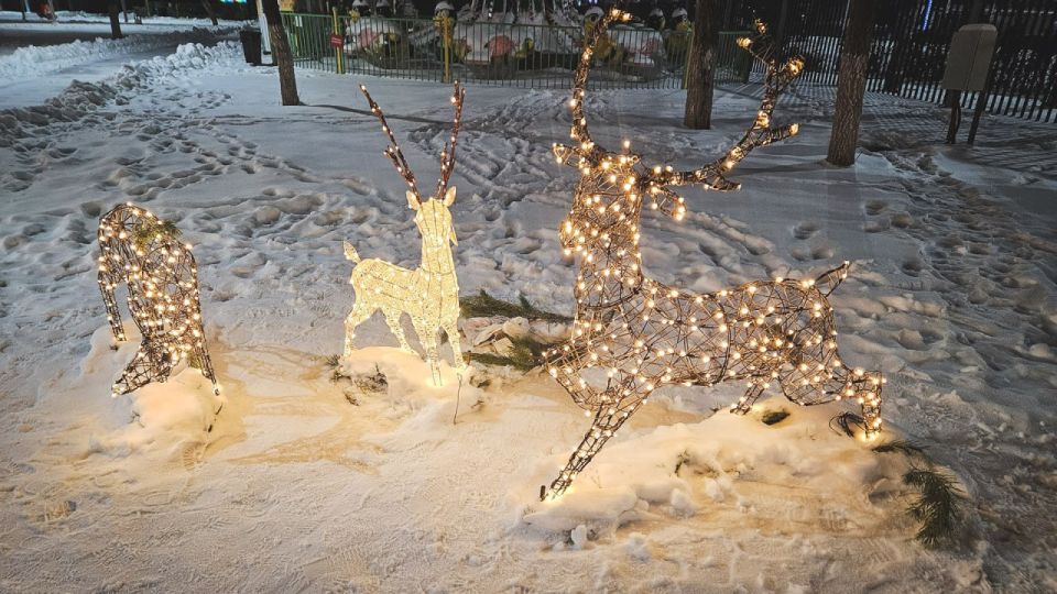 � ����� ������ ������� �������� ����� ���� ������������� ������