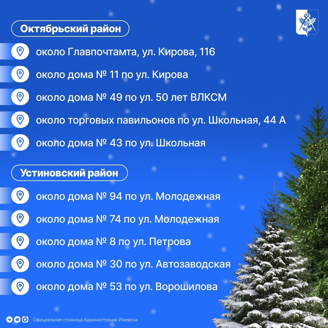 Украсить дом живой елочкой, чтобы почувствовать аромат наступающего праздника, помогут елочные базары Украсить дом живой елочкой, чтобы почувствовать аромат наступающего праздника, помогут елочные базары