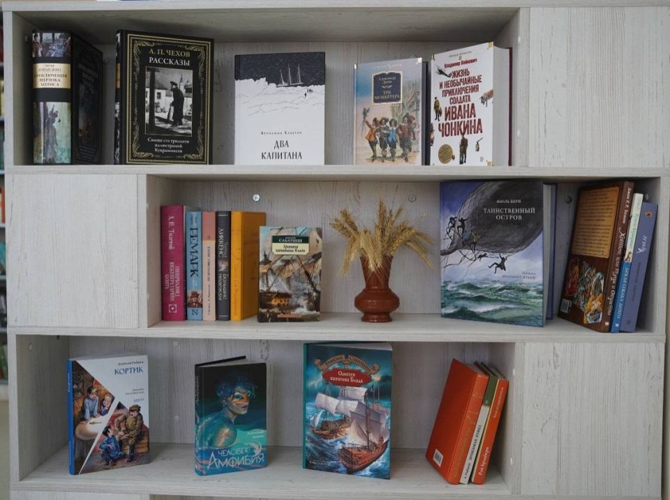 В модельной библиотеке Малой Пурги появилась книжная полка главы Удмуртии