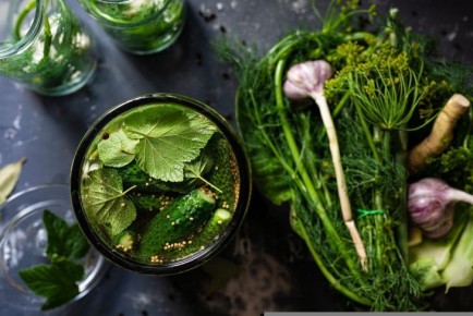 ��� ����������� � �������� ��������: ������� ������ ������