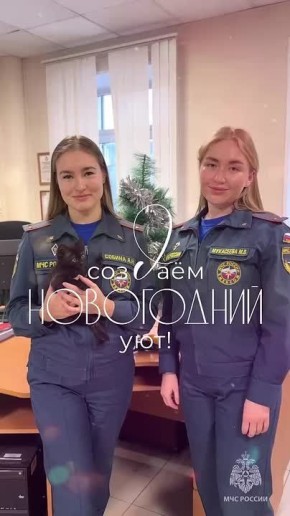 ���������� ��� ������ �������� ����