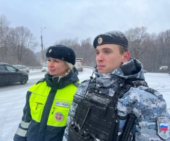 ������,. ���������� ���������