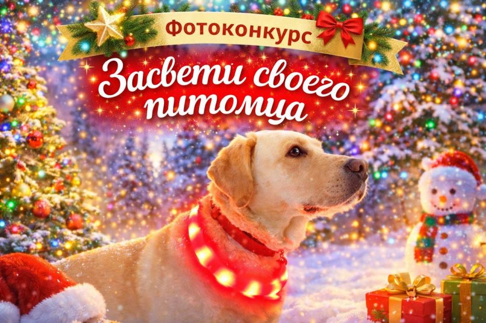 ���������������� �������� ��������� ����������� �������� ������ �������!�